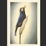 Morning Melody - print by Kavavaow Mannomee - etching and aquatint 2009