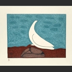Aqigirq (Rock Ptarmigan)