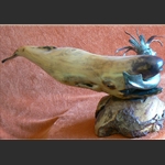 Whale with Squid