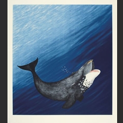 Arvik (Bowhead Whale) - Tim Pitsiulak - Serigraph 2009