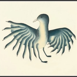 Shorebirds