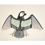 Wings over Cape Dorset