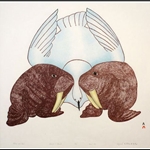 Walrus and Bird