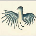 Shorebirds