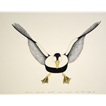 Swooping Bird by Kananginak Pootoogook