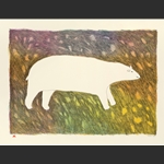 Tundra Bear
