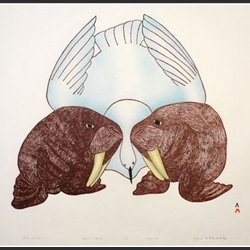 Walrus and Bird