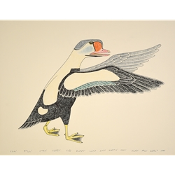 Welcoming Bird by Kananginak Pootoogook