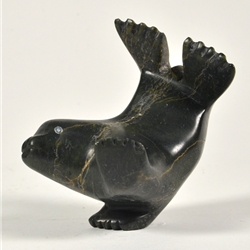 Diving Seal by Parr Parr