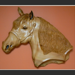 Horse Head